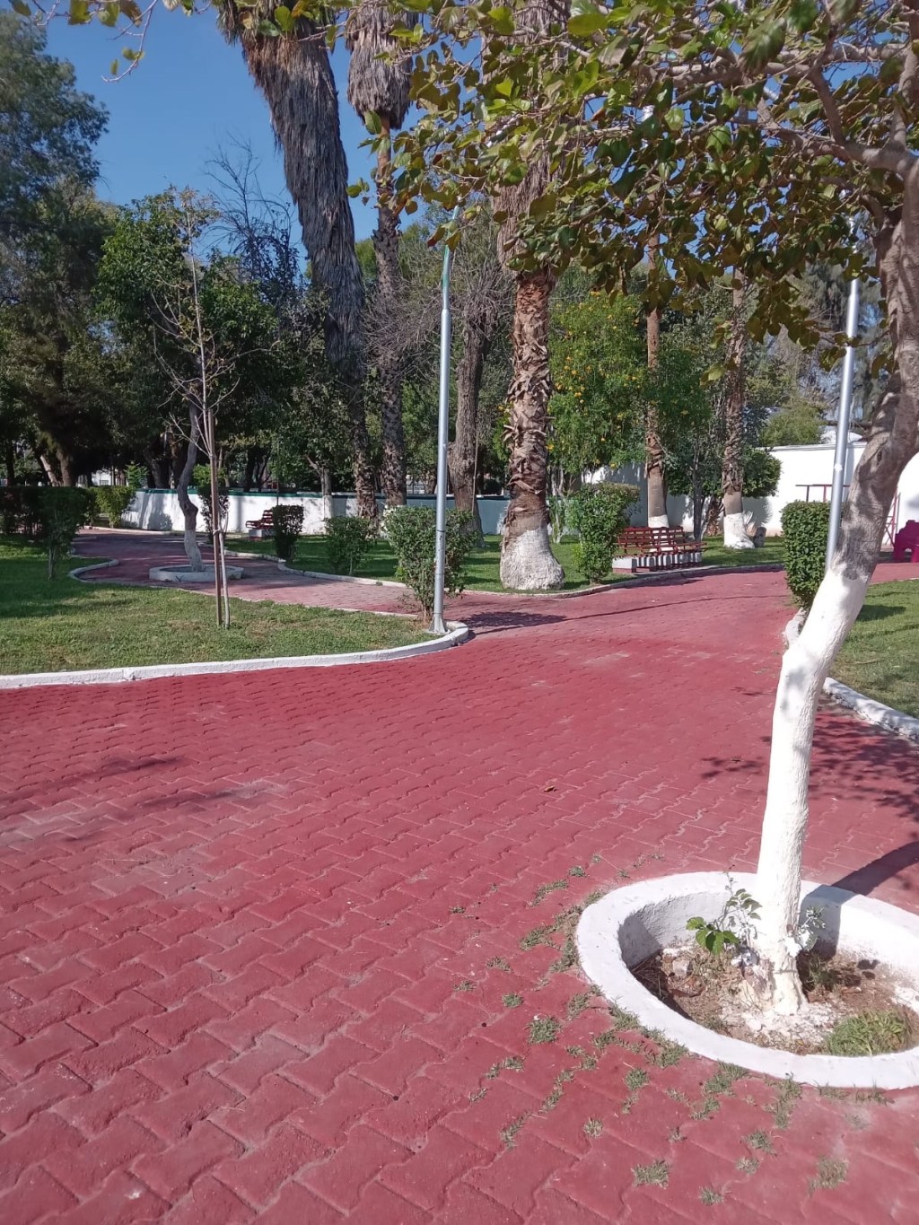 Ayuntamiento de Gómez Palacio realiza mejoras en el Parque&nbsp;Morelos.