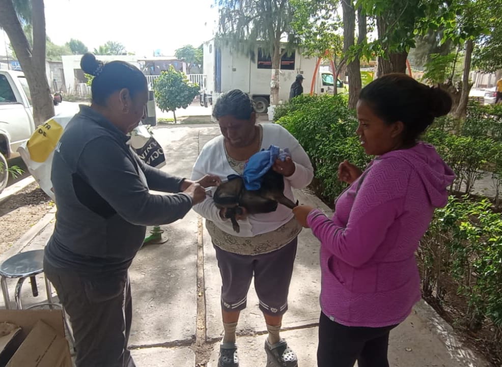 ACUDE BRIGADA DE SALUD PARA MASCOTAS A LOCALIDAD EL RAYO,&nbsp;LERDO.