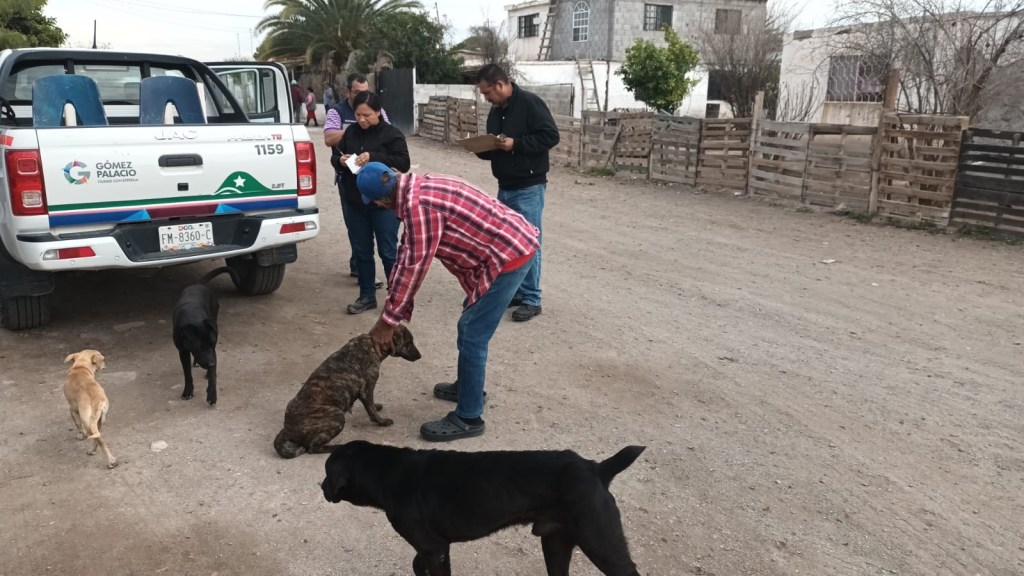 Llama Control Animal al buen resguardo de sus&nbsp;mascotas.