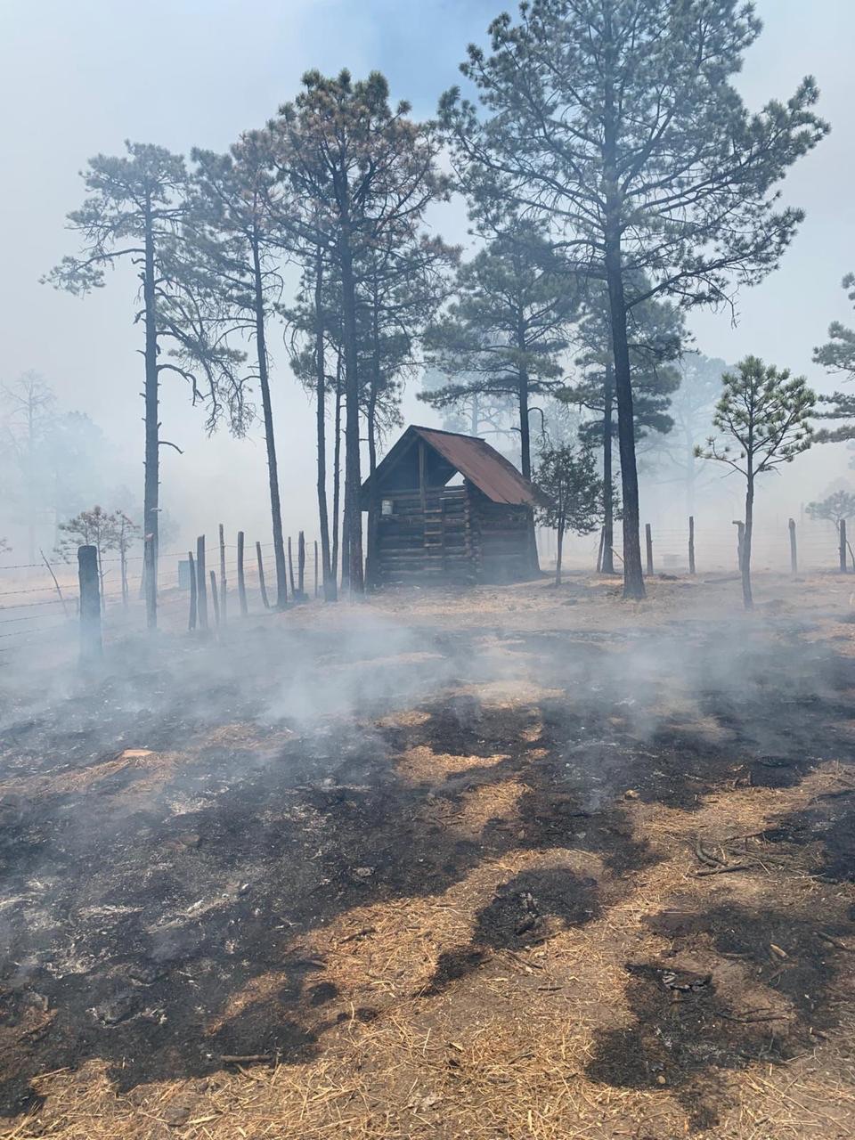 Refuerza Gobierno del Estado acciones para contener incendio forestal en&nbsp;Tepehuanes