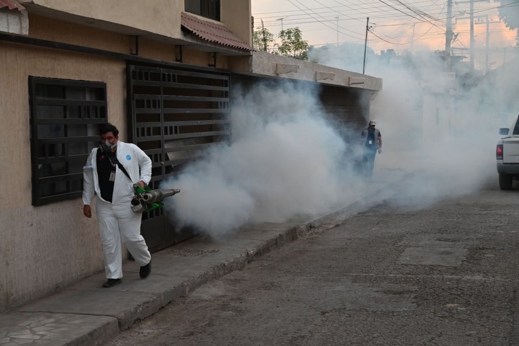Logran disminuir la presencia del mosquito transmisor del dengue en Gómez Palacio